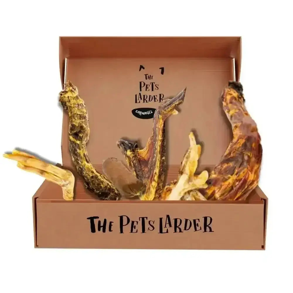 Got Wings | the Poultry Chew Box - Natural Dog | Pet Shop