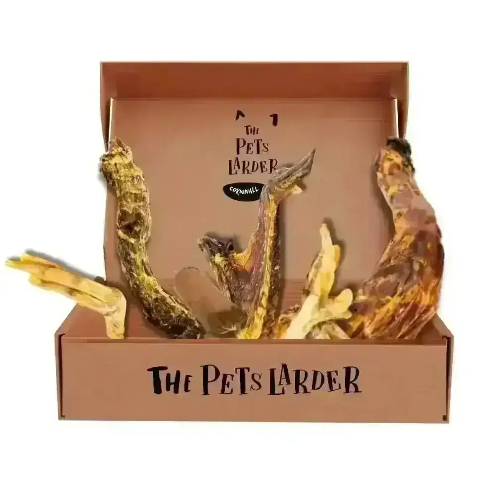 Got Wings | the Poultry Chew Box - Natural Dog | Pet Shop