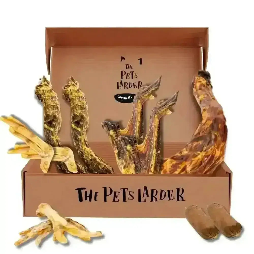 Got Wings | the Poultry Chew Box - Natural Dog | Pet Shop