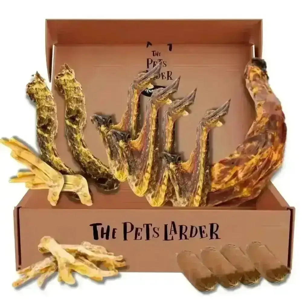 Got Wings | the Poultry Chew Box - Natural Dog | Pet Shop