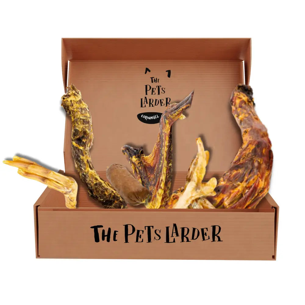Got Wings | the Poultry Chew Box - Natural Dog | Pet Shop