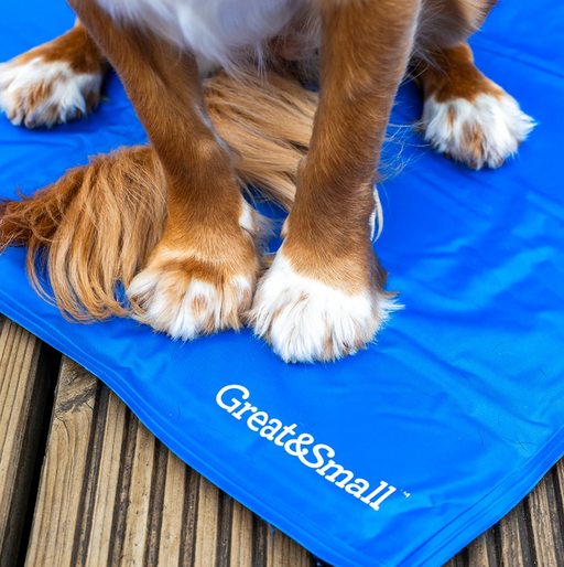 Dog paws on a blue cooling pad with 'Great&Small' branding.