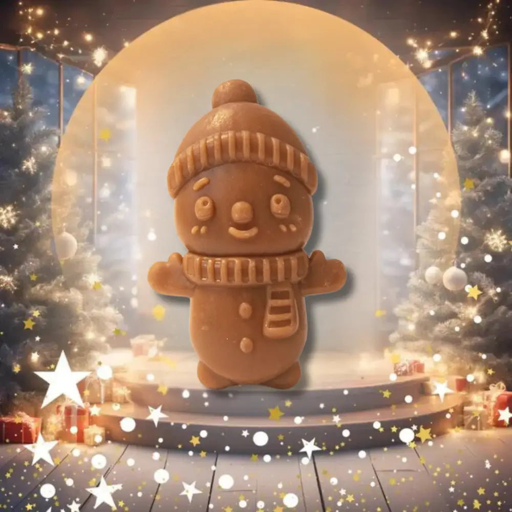 Adorable snowman dog treat  on a festive background