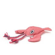 Pink crab-shaped water dog toy with a rope on a white background
