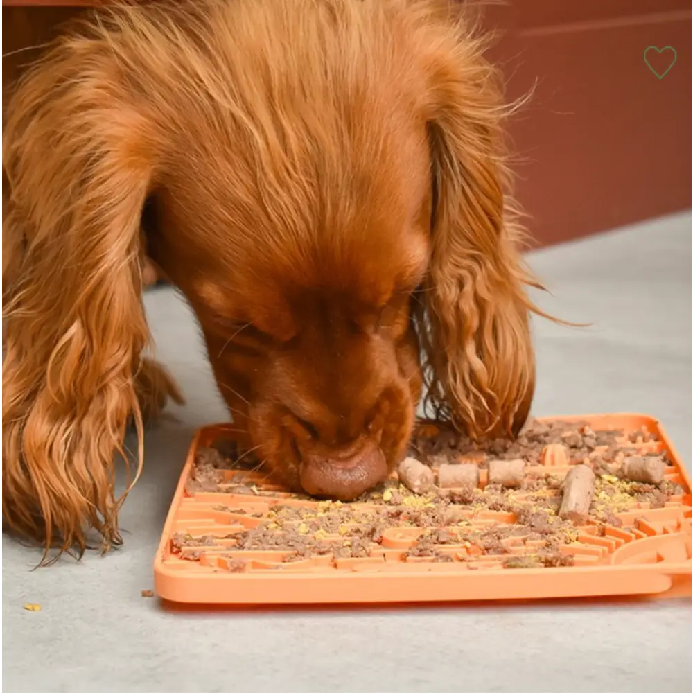 Great&small Slow Down Arizona Silicone Snack Pad - Dog Beds & Bowls | Natural Pet Shop