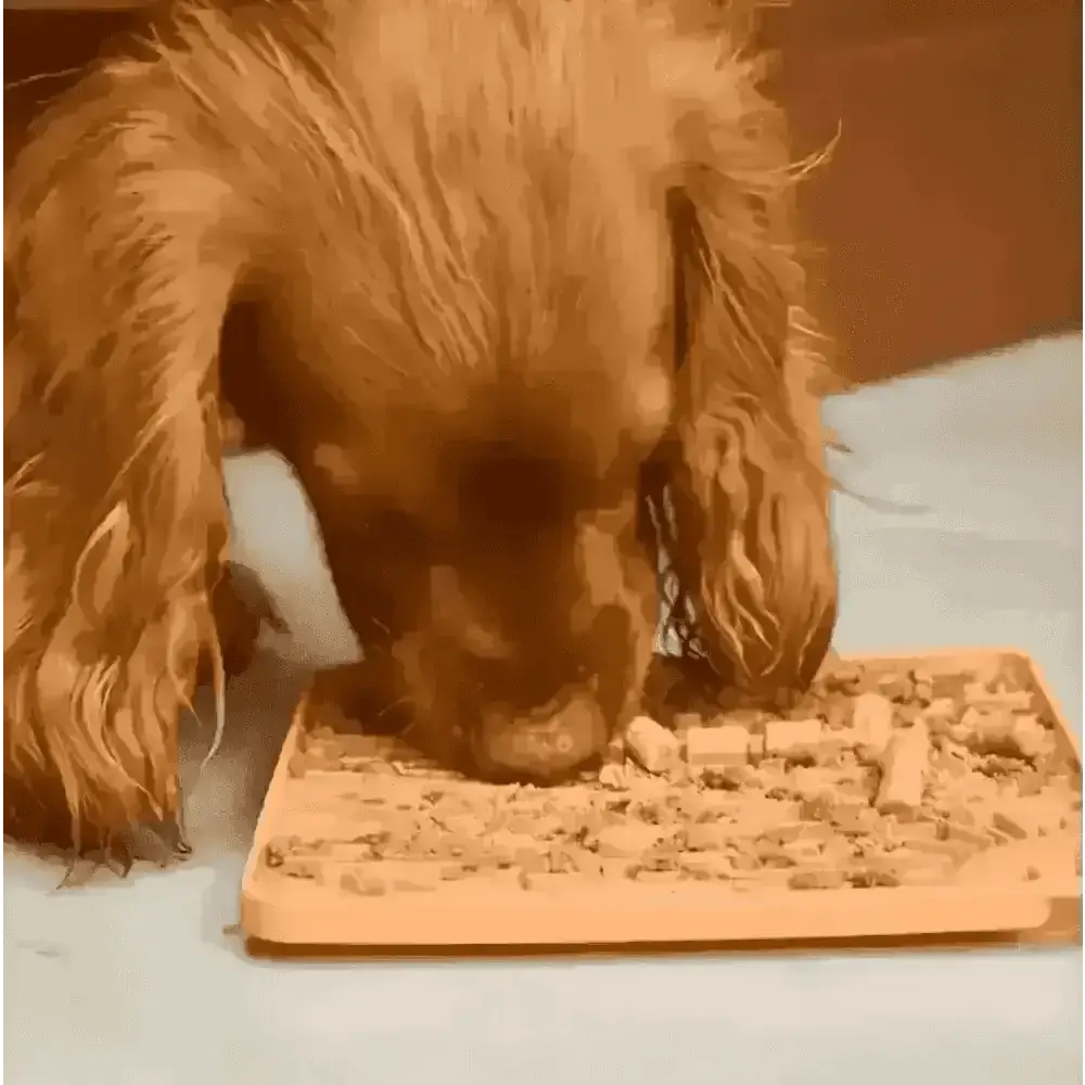 Great&small Slow Down Arizona Silicone Snack Pad - Dog Beds & Bowls | Natural Pet Shop