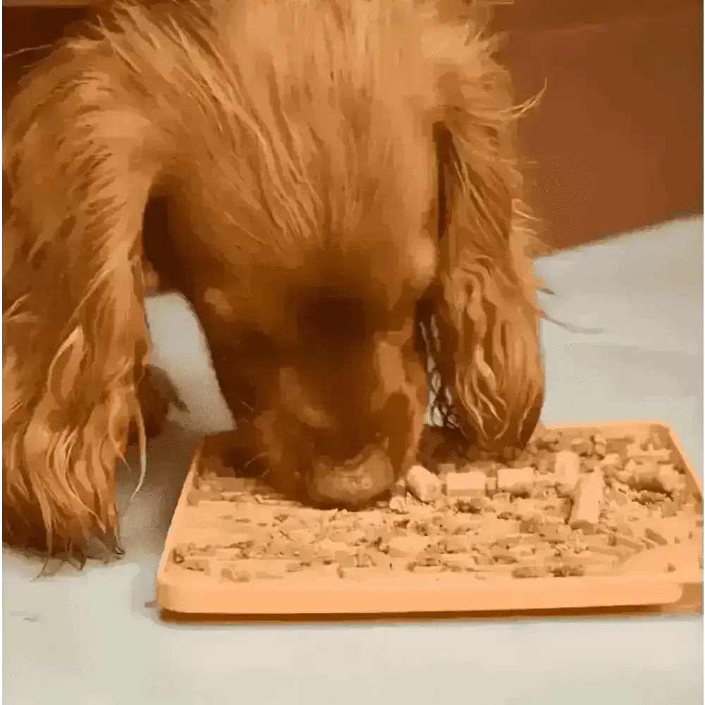 Great&small Slow Down Arizona Silicone Snack Pad - Dog Beds & Bowls | Natural Pet Shop