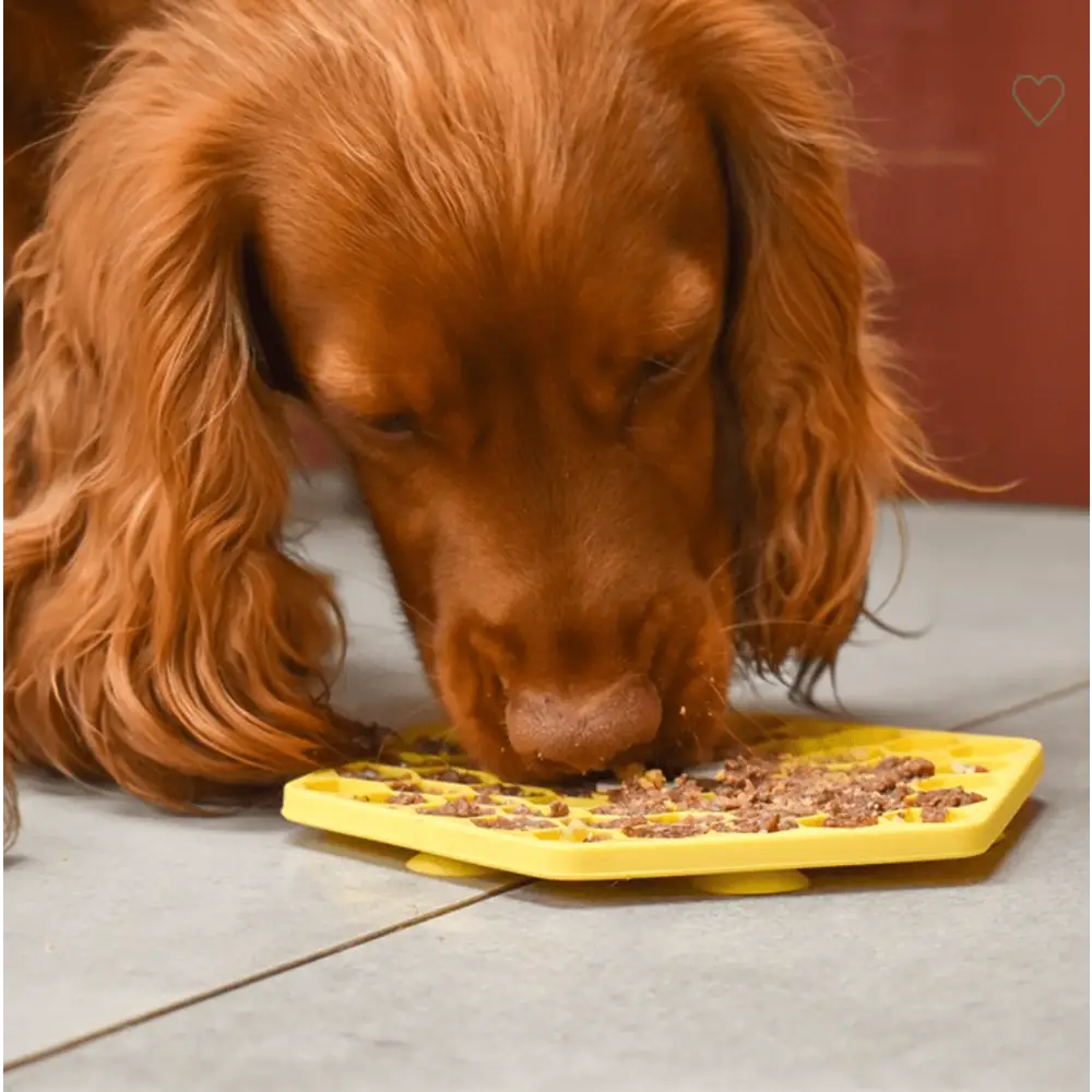 Great&small Slow Down Bee Hive Silicone Snack Pad - Dog Beds & Bowls | Natural Pet Shop
