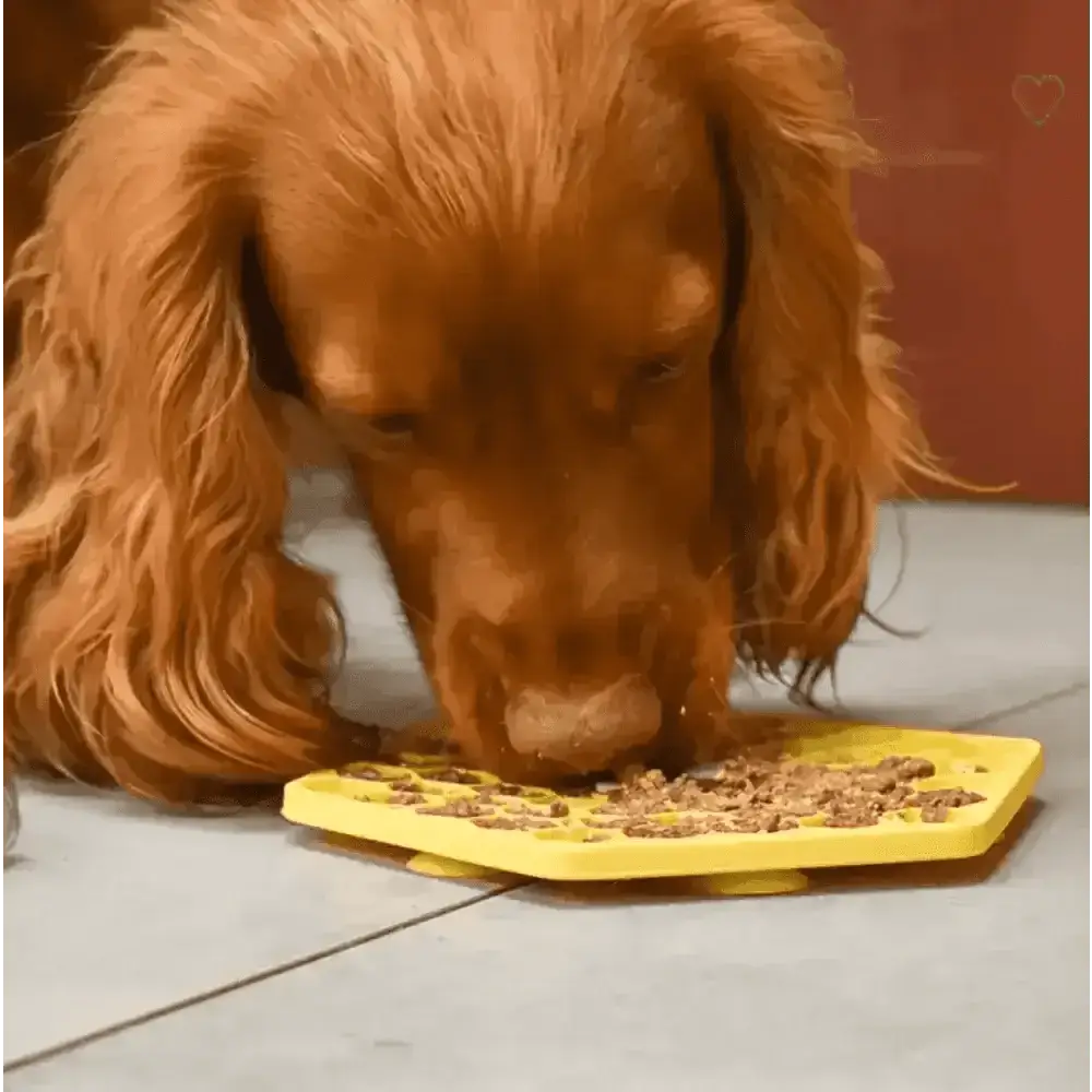 Great&small Slow Down Bee Hive Silicone Snack Pad - Dog Beds & Bowls | Natural Pet Shop