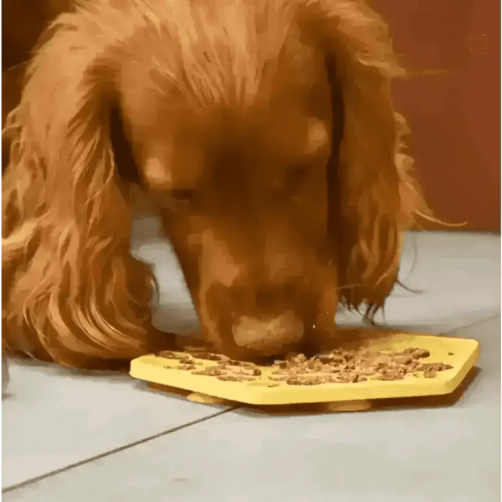 Great&small Slow Down Bee Hive Silicone Snack Pad - Dog Beds & Bowls | Natural Pet Shop