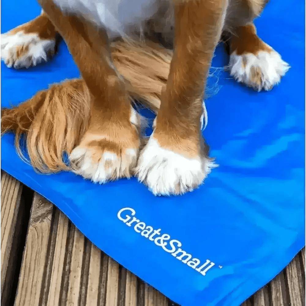 Great&Small Cool Pad: blue pet cooling mat with logo, fabric and foam