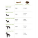 Green & Wilds Chewroots natural dog chew size guide.