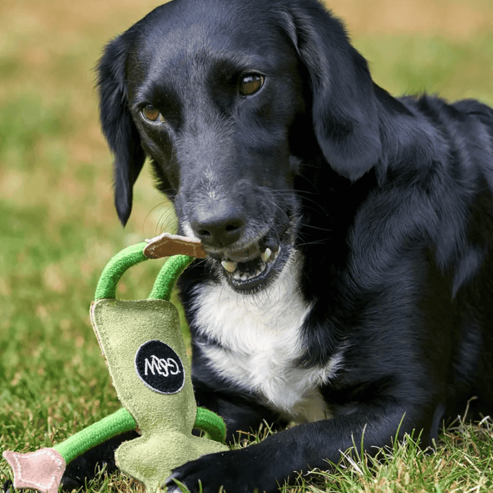 Green And Wilds Francois Le Frog, Eco Toy