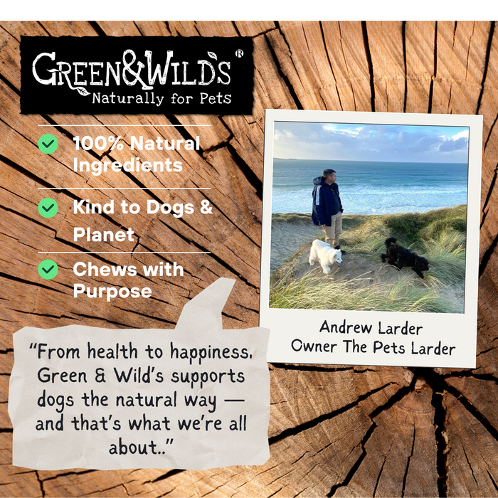 Green And Wilds Goldie the Goldfish Eco Toy - Cat Toys