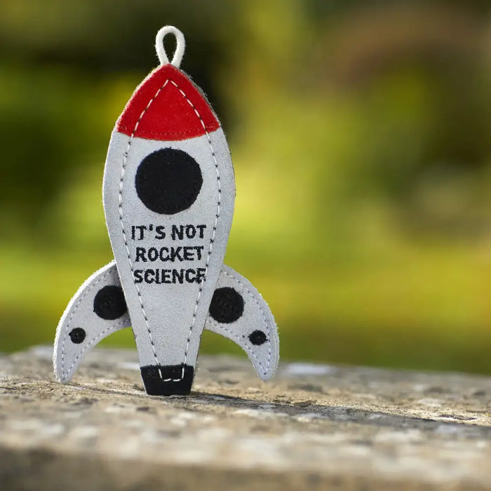 Fabric rocket-shaped dog toy with 'It's Not Rocket Science' text on a blurred natural background