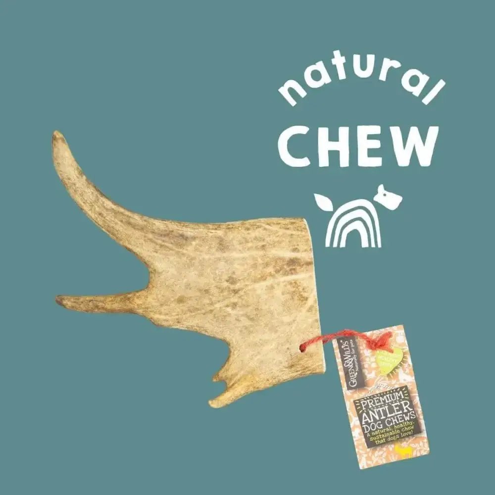 Premium Fallow Antler Dog Chew Toy, Light Brown with White Markings