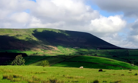 Dog Walking Lancashire North West UK