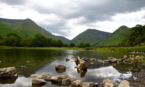 Dog Walking Cumbria Lake District