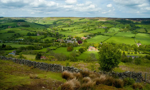 North York National Park Dog Walking