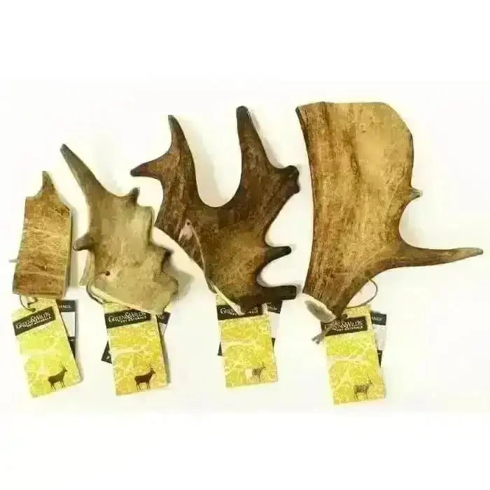 Premium Fallow Antler Dog Chews with Rustic Moose Wall Decor