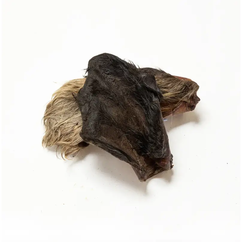 Hairy Cow Ear - Natural Dog Chew | Pet Shop