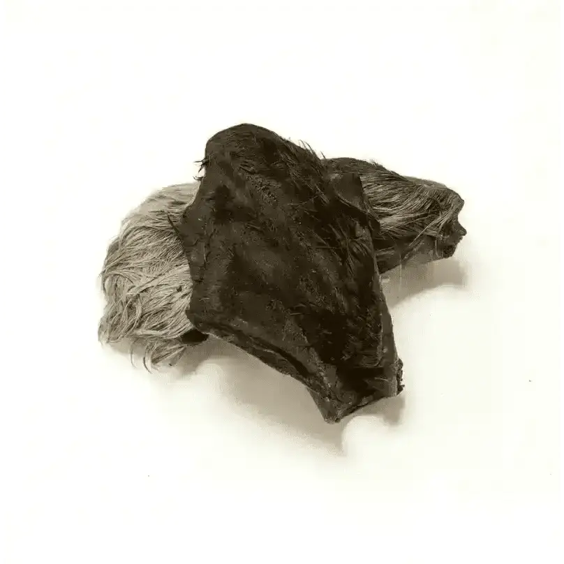 Hairy Cow Ear - Natural Dog Chew | Pet Shop