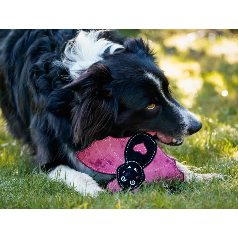 Halloween Bat Nora Batty Eco Dog Toy - Toys | Natural Pet Shop