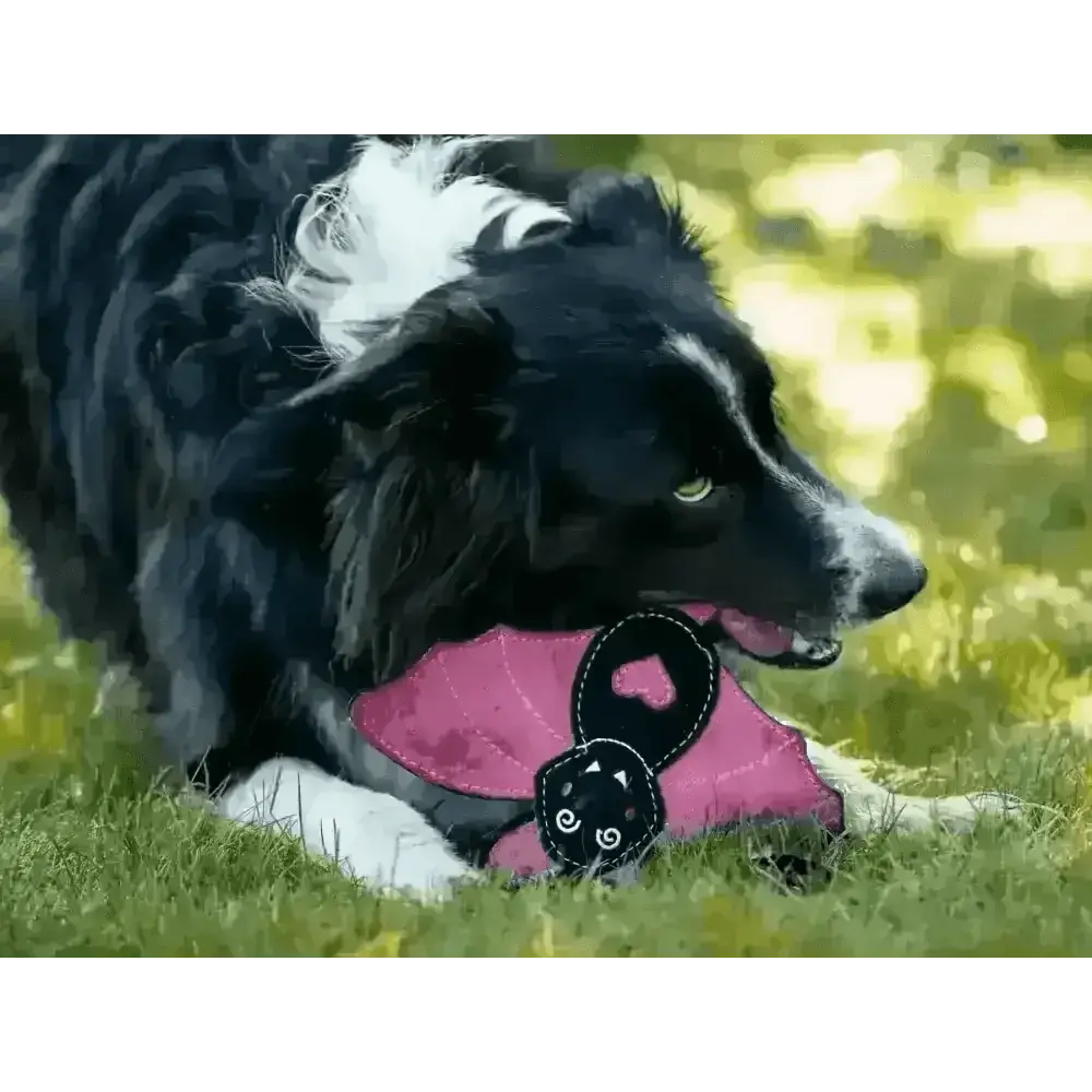 Halloween Bat Nora Batty Eco Dog Toy - Toys | Natural Pet Shop