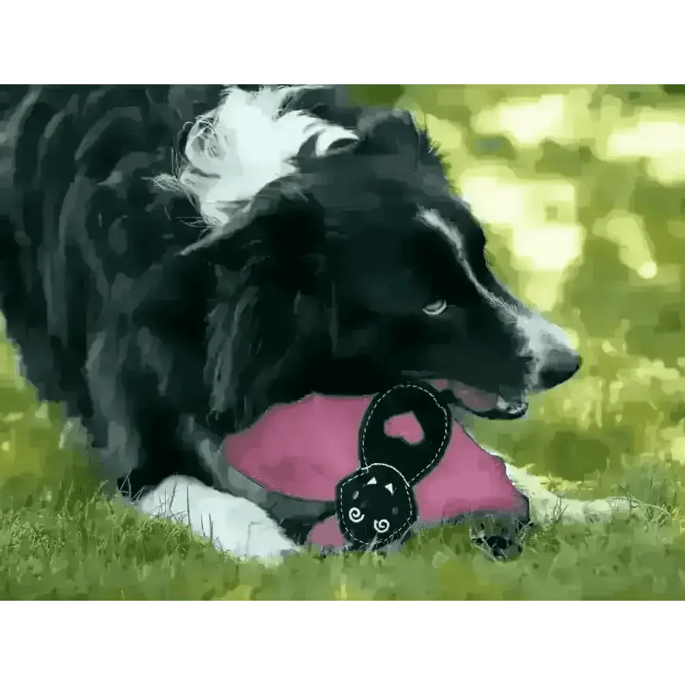 Halloween Bat Nora Batty Eco Dog Toy - Toys | Natural Pet Shop