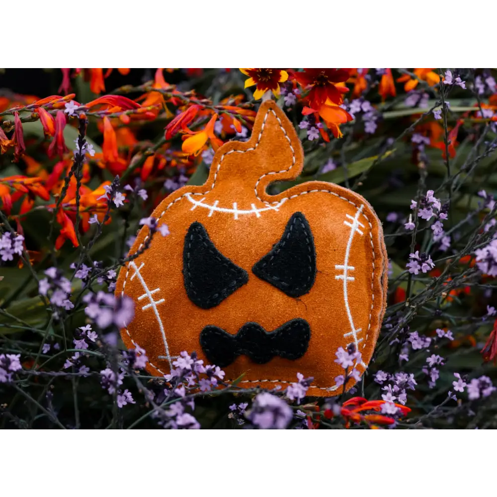 Halloween Jack the Lad Pumpkin Small Breed Eco Dog Toy - Toys | Natural Pet Shop