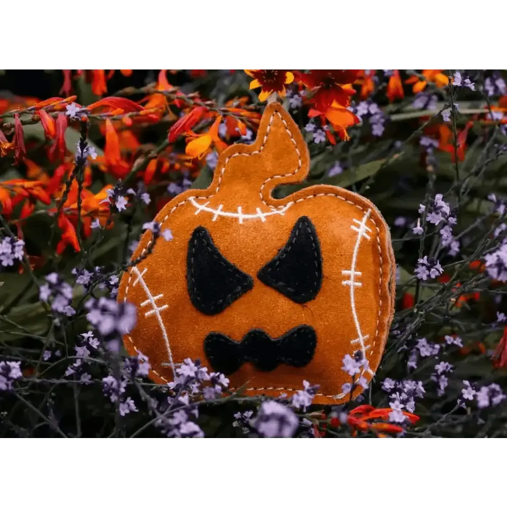 Halloween Jack the Lad Pumpkin Small Breed Eco Dog Toy