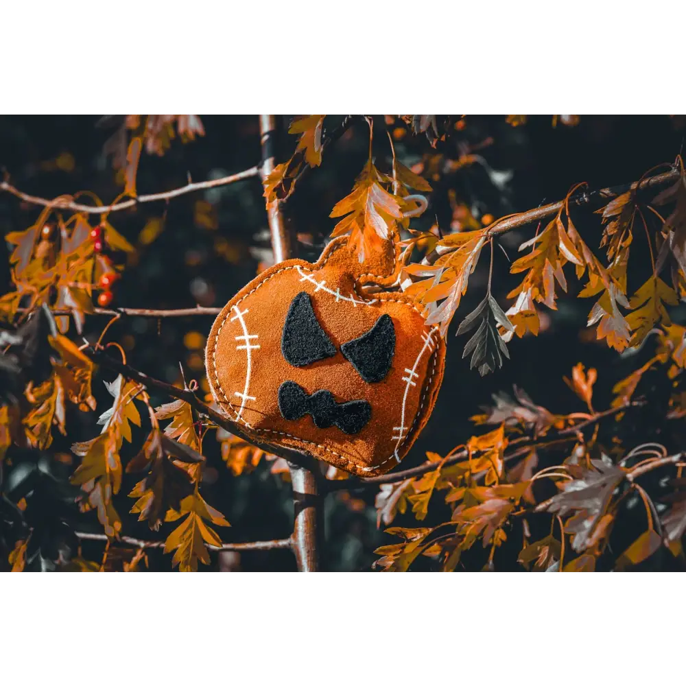 Halloween Jack the Lad Pumpkin Small Breed Eco Dog Toy - Toys | Natural Pet Shop