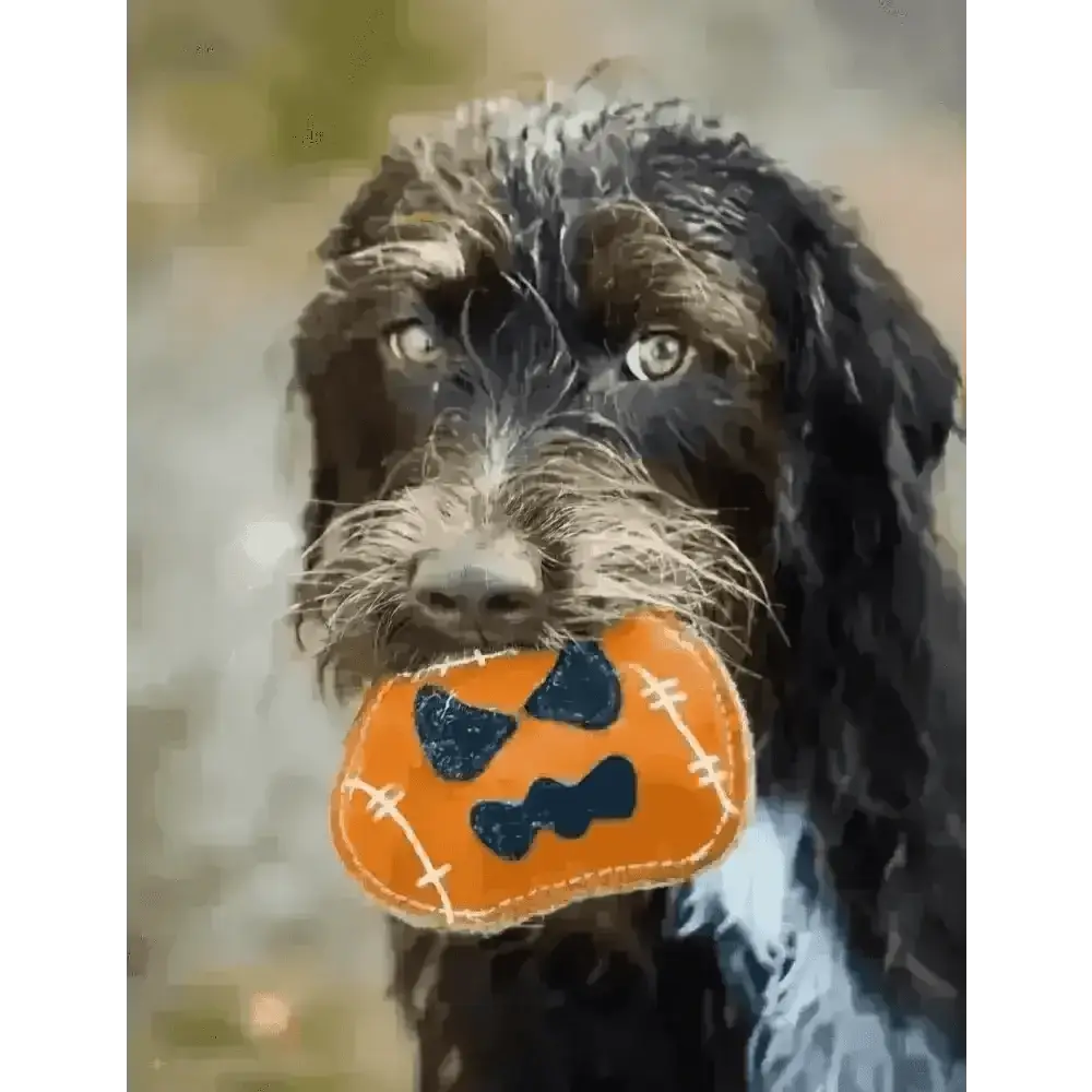 Halloween Jack the Lad Pumpkin Small Breed Eco Dog Toy - Toys | Natural Pet Shop