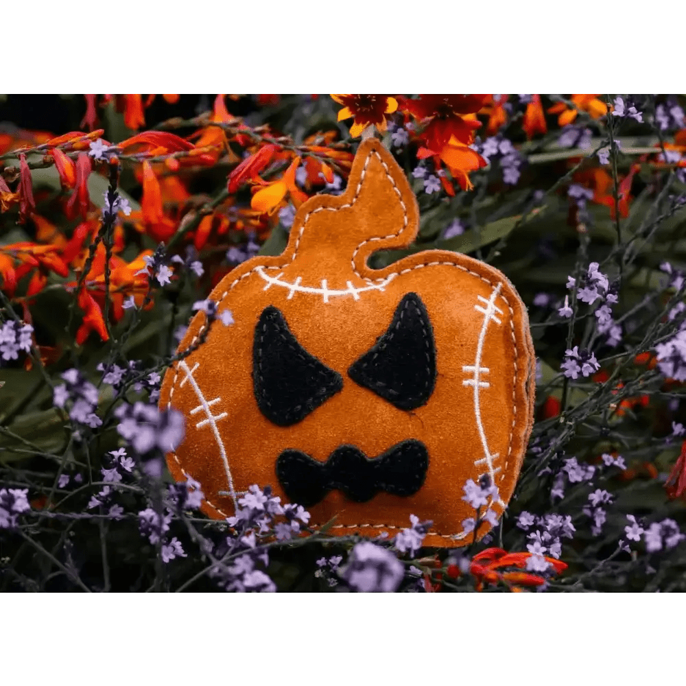 Halloween Jack the Lad Pumpkin Small Breed Eco Dog Toy - Toys | Natural Pet Shop