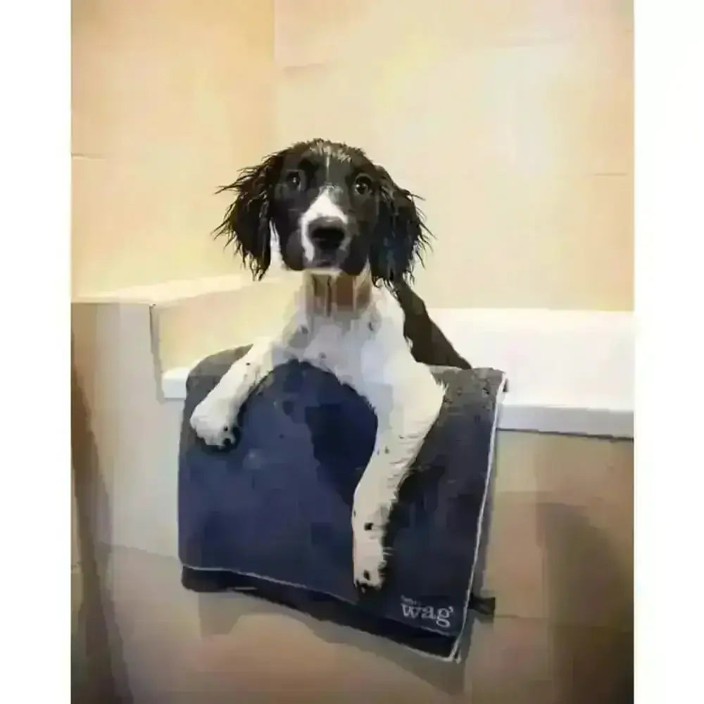 Henry Wag Microfibre Towel: Black and White Dog Drying Mat
