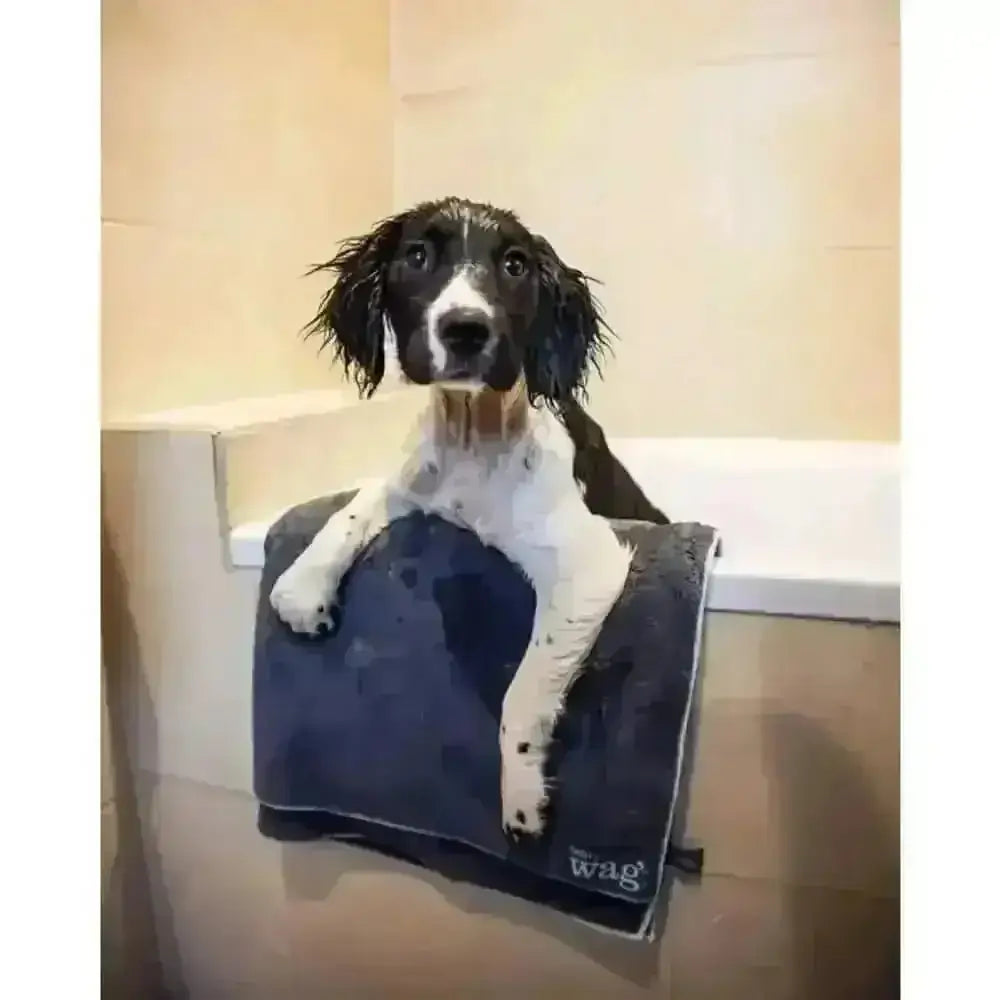 Henry Wag Microfibre Towel: Black and White Dog Drying Mat