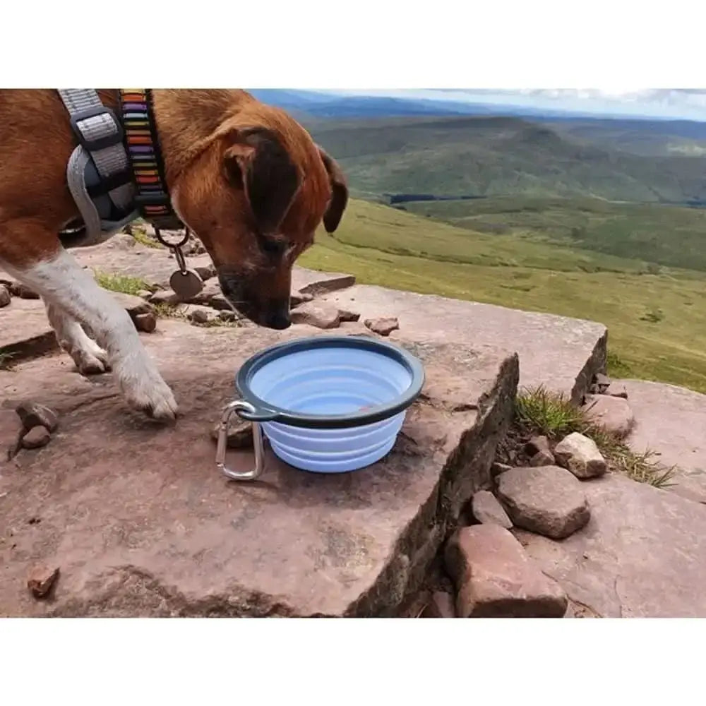 Henry Wag Travel Bowl: Blue and gray collapsible silicone dog bowl