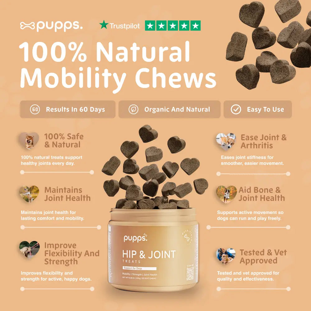 Hip & Joint Treats - Hip & Joint Treats