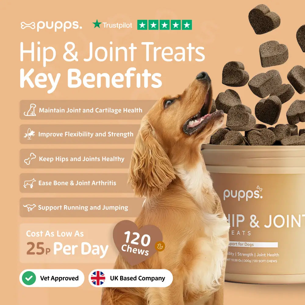 Hip & Joint Treats - Hip & Joint Treats