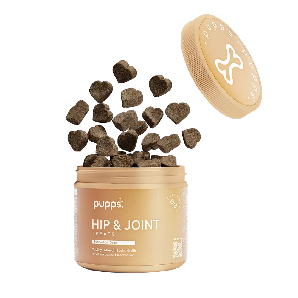 Hip & Joint Treats - Hip & Joint Treats
