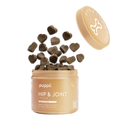 Hip & Joint Treats - Hip & Joint Treats