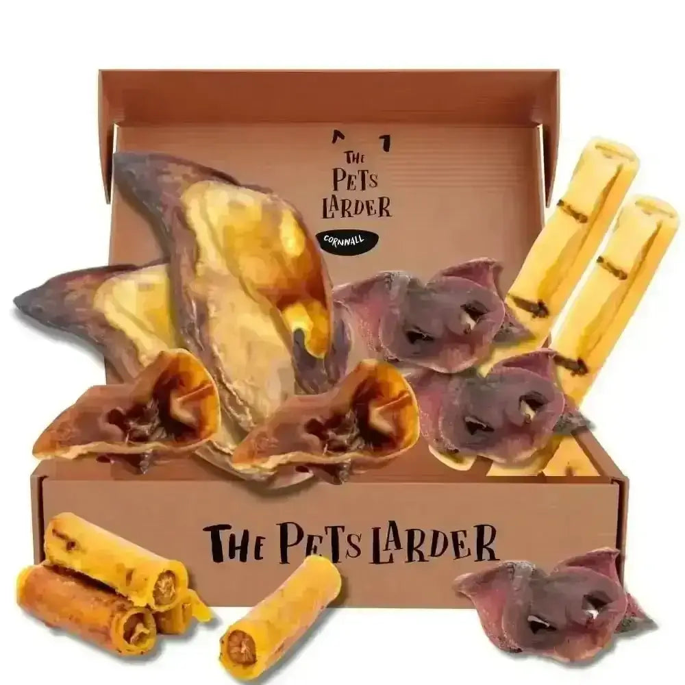 Hog Box | the Pork Chew - Natural Dog | Pet Shop