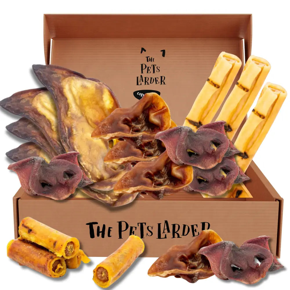 Hog Box | the Pork Chew - Natural Dog | Pet Shop