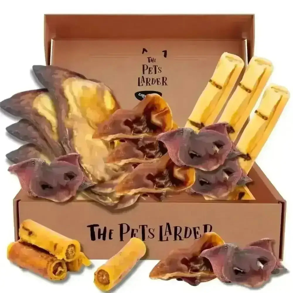 Hog Box | the Pork Chew - Natural Dog | Pet Shop