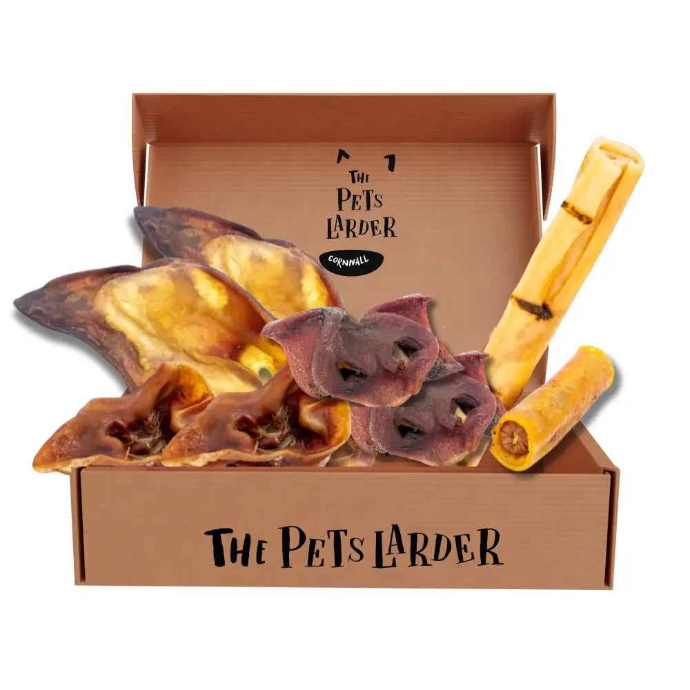 Hog Box | the Pork Chew - Natural Dog | Pet Shop
