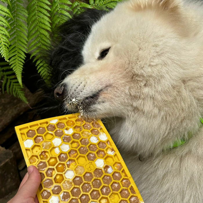 Honeycomb Enrichment Licking Mat - Dog Beds & Bowls