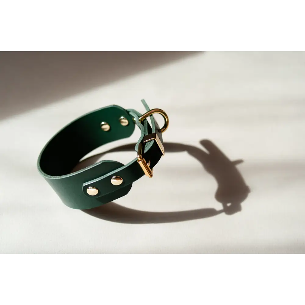 Hound Leather Collar - XX-Small / Green - Dog collar