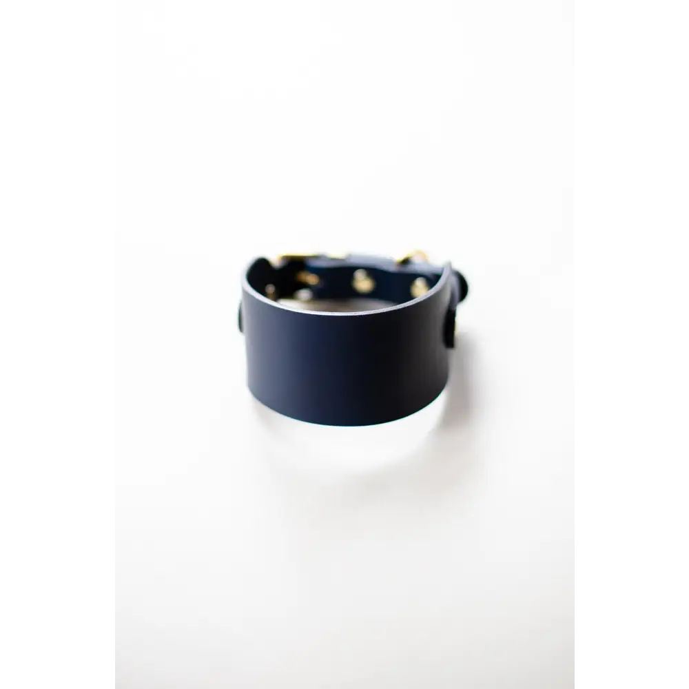 Hound Leather Collar - XX-Small / Navy - Dog collar