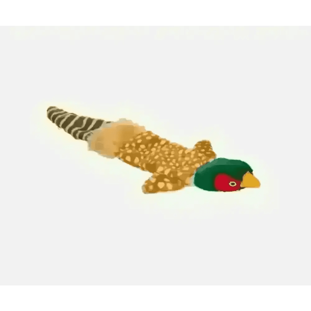 House of Paws Plush Pheasant Multi Squeaker Dog Toy - Toys | Natural Pet Shop