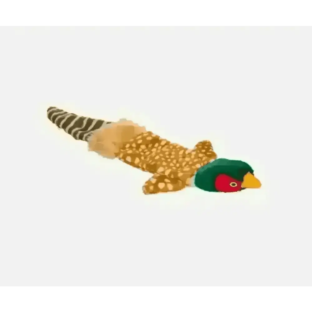 House of Paws Plush Pheasant Multi Squeaker Dog Toy - Toys | Natural Pet Shop
